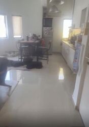 Blk 64 Tiong Bahru Estate (Bukit Merah), HDB 3 Rooms #611145481